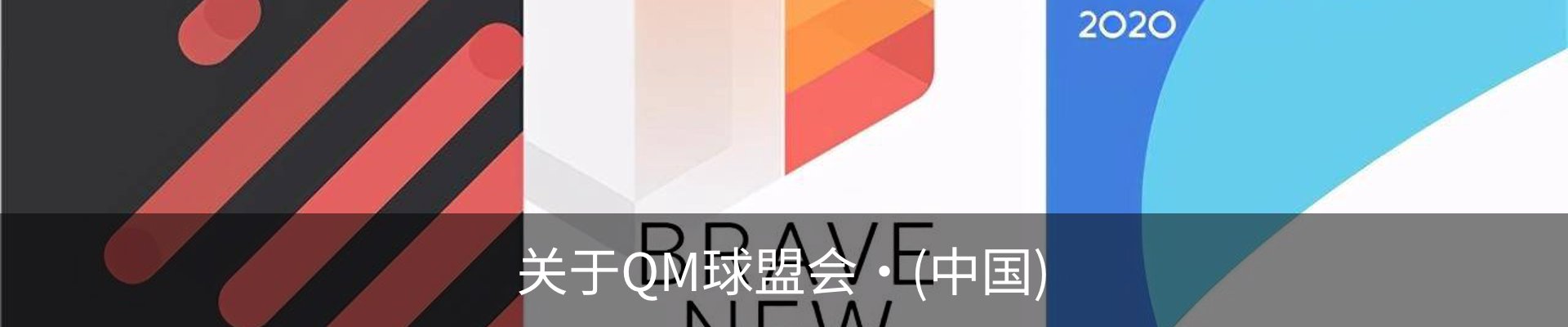 关于QM球盟会·(中国)