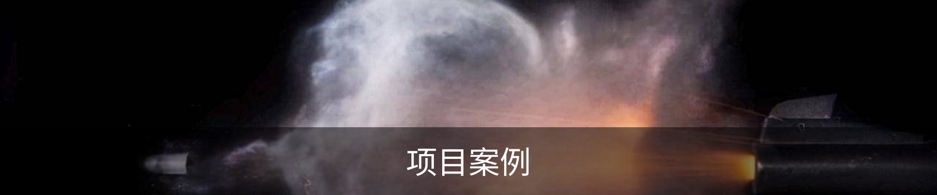 项目案例